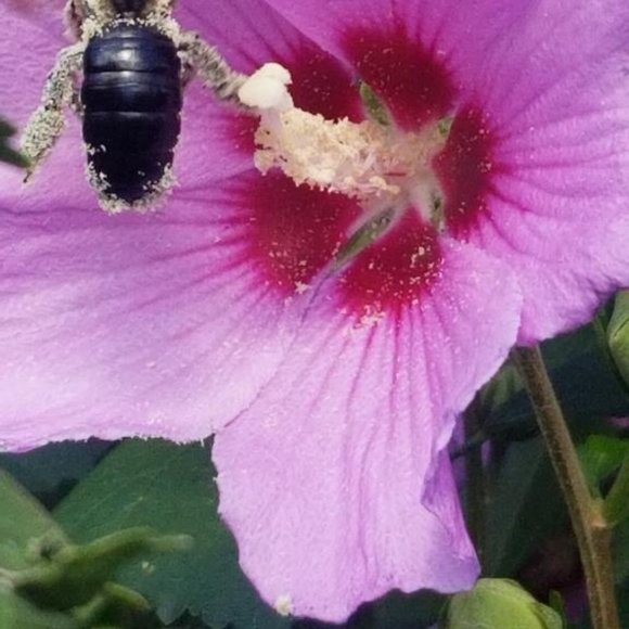 Meet your Posher, Lorie - Picture 8 of 12